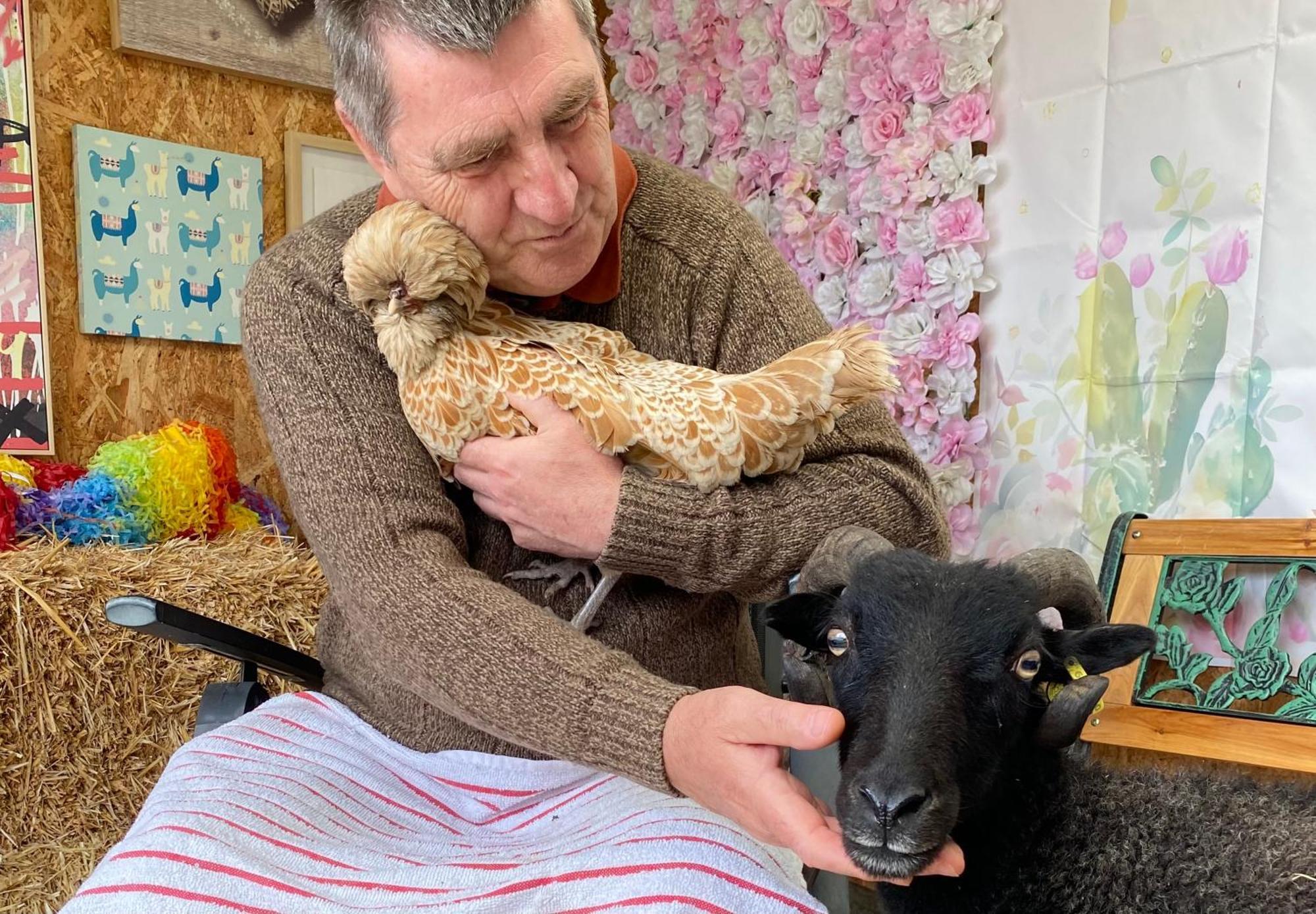 Unique Stay On An Alpaca Therapy Farm With Miniature Donkeys North Wales Mold Dış mekan fotoğraf